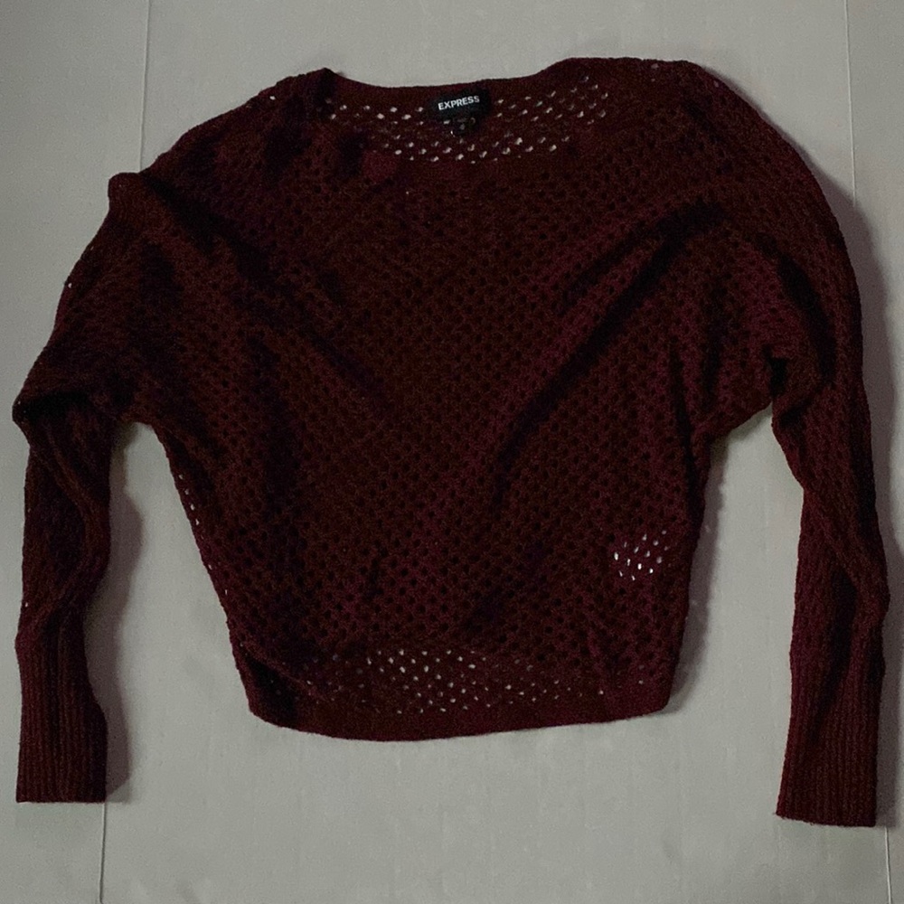 Burgundy mesh Express top